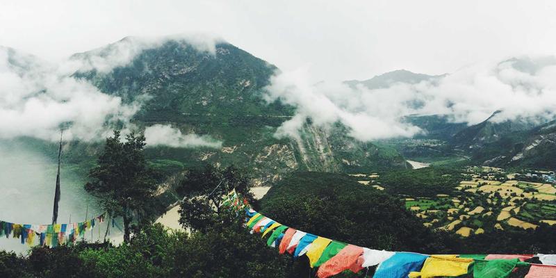 天然养生新突破：揭秘萨纳林中圣约翰草与藏红花的协同作用，如何多靶点调节情绪