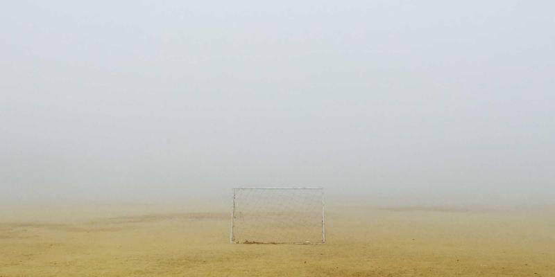 天然疗愈新曙光：探索萨纳林作为PTSD恢复期辅助疗法的应用前景