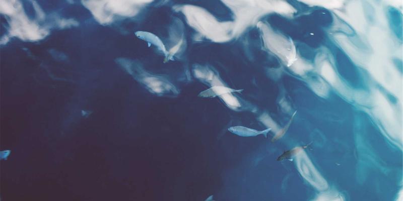 未来健康从精准评估开始：一份科学自测指南，判断您是否需要服用萨纳林保健品