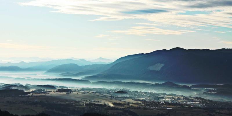 未来健康新焦点：萨纳林核心成分藏红花提取物的神经保护分子机制深度解析