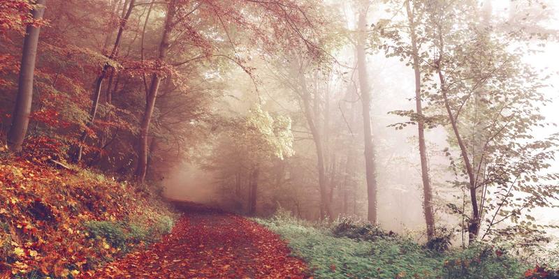 未来健康新选择：萨纳林如何为更年期女性提供长期情绪支持