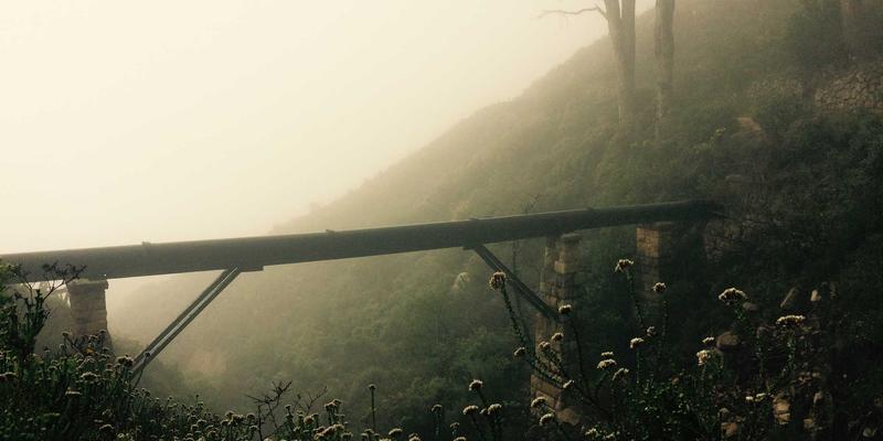 职场压力缓解新选择：萨纳林作为自然情绪支持剂的日常养生策略