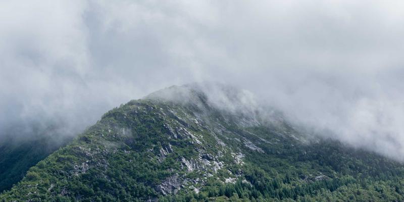 职场高压人群的天然情绪支持：萨纳林如何成为缓解工作焦虑与倦怠感的未来健康之选