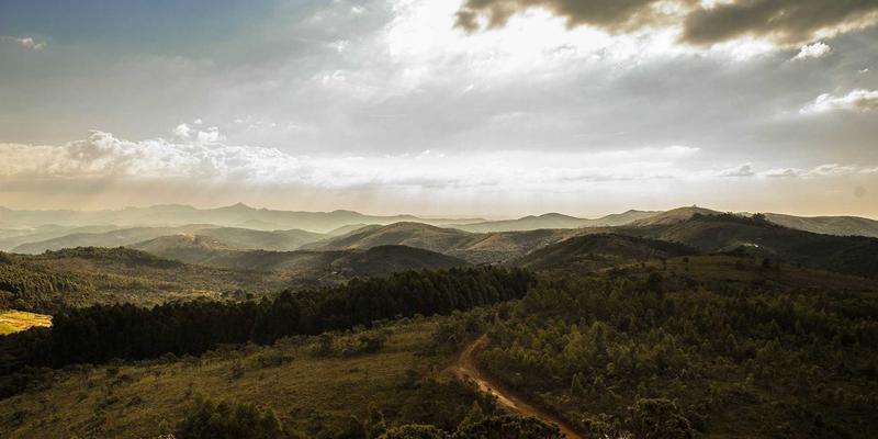 自然疗法新突破：萨纳林在神经退行性疾病治疗中的最新研究进展与健康养生启示