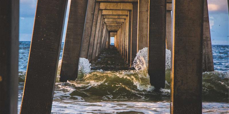 萨纳林18：探索自然疗法与有机产品的和谐共生