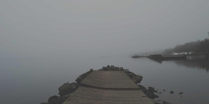 萨纳林25：揭秘有机健康养生的新一代超级食品