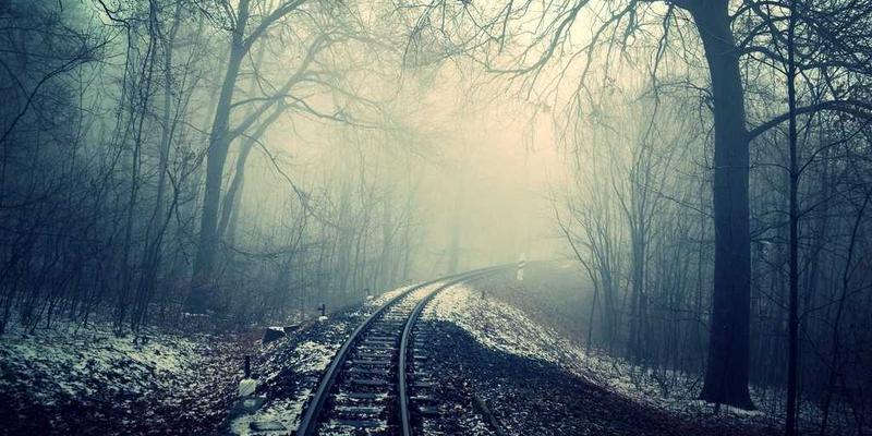 萨纳林34：探索古老智慧与现代健康养生的完美融合