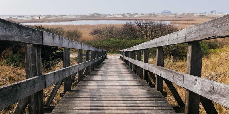 萨纳林3：揭秘未来健康新范式，天然养生的科学革命