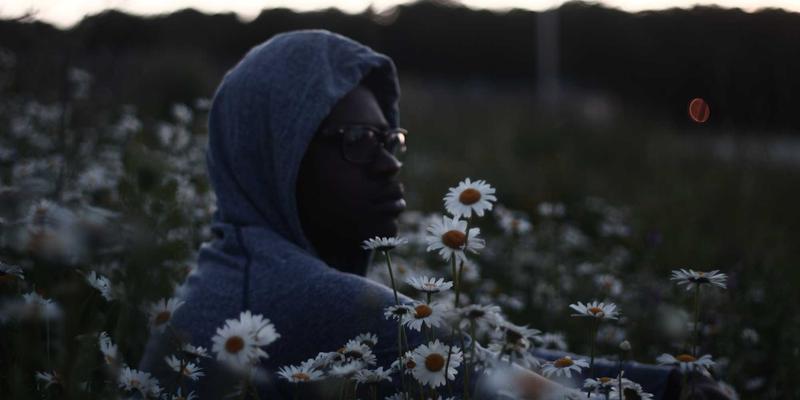 萨纳林41：揭秘未来健康密码，开启有机养生新纪元