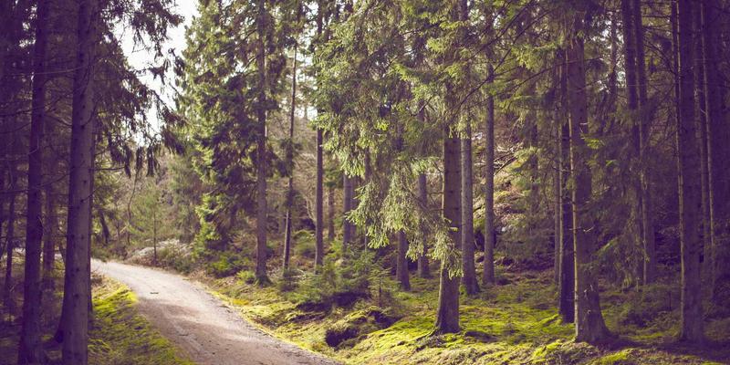 萨纳林48:探索自然疗法的智慧与现代健康养生的融合