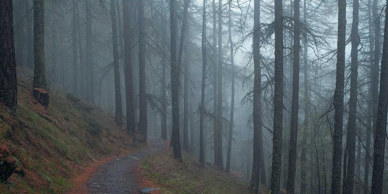 萨纳林57：融合自然疗法与未来科技的保健品新纪元