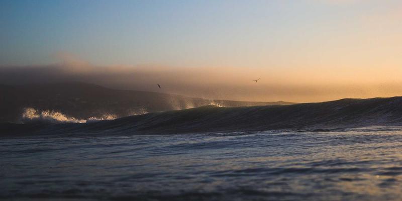 萨纳林59：自然疗法与现代养生的融合之道