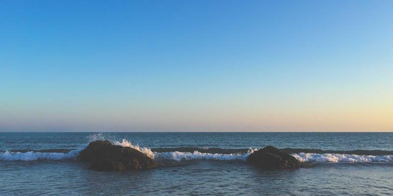 萨纳林82：揭秘未来健康浪潮中的天然保健品新星