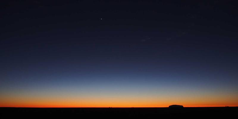 萨纳林：天然产物如何通过肠道菌群对话，重塑未来健康与肠道-大脑轴平衡