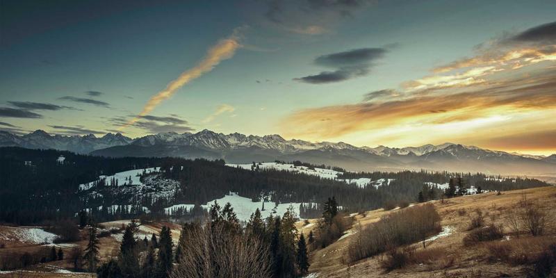 萨纳林：有机养生新选择，如何成为心血管健康的未来情绪支持剂？