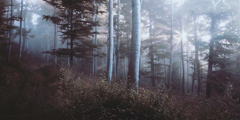 萨纳林有机养生：解锁未来健康的三大核心实践