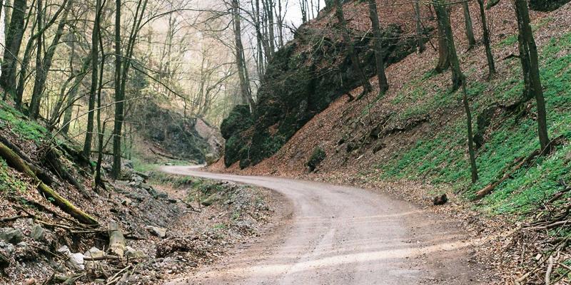 萨纳林：自然疗法如何从能量代谢与线粒体健康入手，重塑慢性疲劳综合征管理