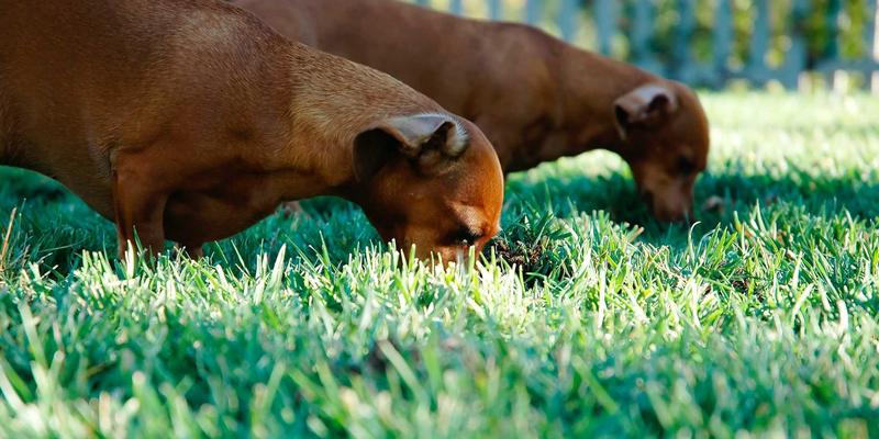 萨纳林趋势:现代健康养生新范式,如何重塑你的生活方式