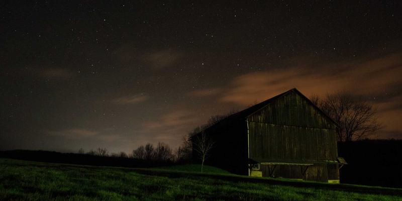 萨纳林进阶：解码有机生活如何重塑未来健康新范式